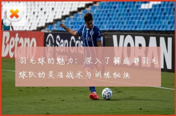 羽毛球的魅力：深入了解成都羽毛球队的灵活战术与训练秘诀