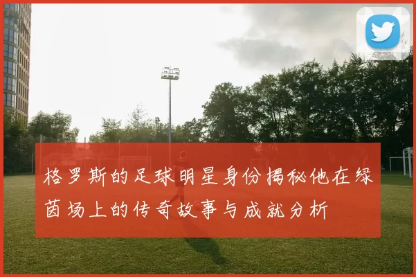 格罗斯的足球明星身份揭秘他在绿茵场上的传奇故事与成就分析