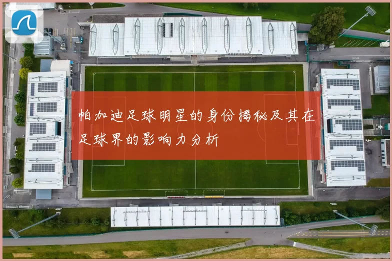 帕加迪足球明星的身份揭秘及其在足球界的影响力分析