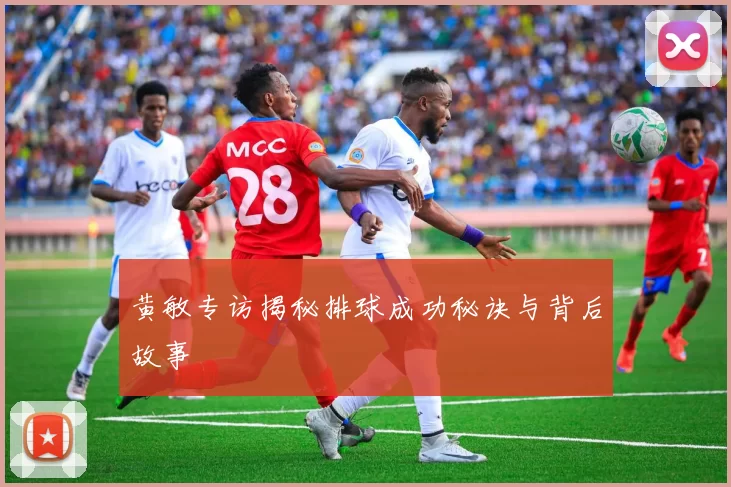 黄敏专访揭秘排球成功秘诀与背后故事