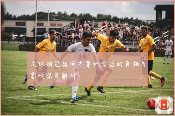 足球明星赫海冬事件背后的真相与影响深度解析