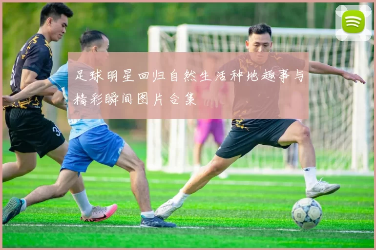 足球明星回归自然生活种地趣事与精彩瞬间图片合集