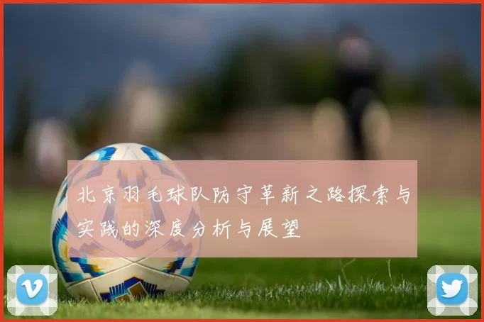 北京羽毛球队防守革新之路探索与实践的深度分析与展望