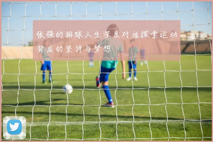 张强的排球人生深度对话探索运动背后的坚持与梦想