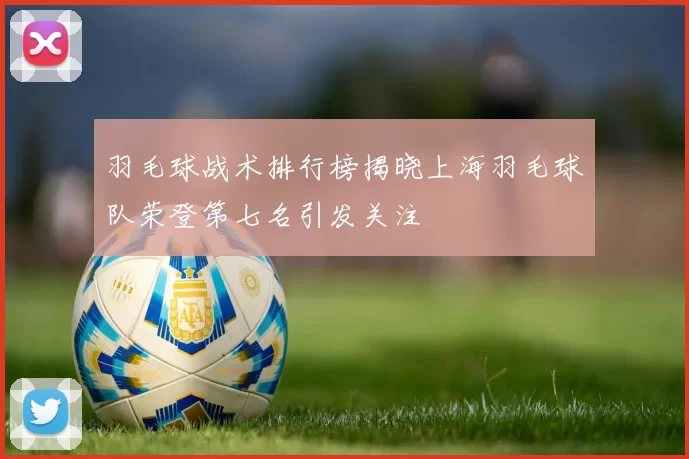 羽毛球战术排行榜揭晓上海羽毛球队荣登第七名引发关注