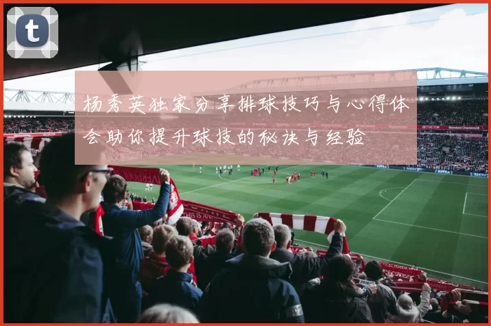 杨秀英独家分享排球技巧与心得体会助你提升球技的秘诀与经验