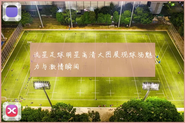 流星足球明星高清大图展现球场魅力与激情瞬间