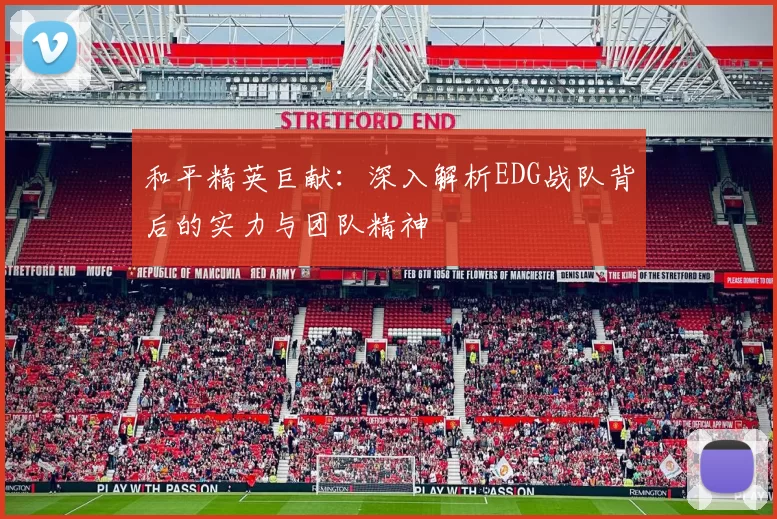 和平精英巨献：深入解析EDG战队背后的实力与团队精神