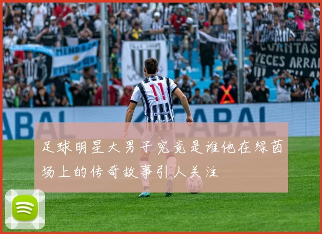 足球明星大男子究竟是谁他在绿茵场上的传奇故事引人关注