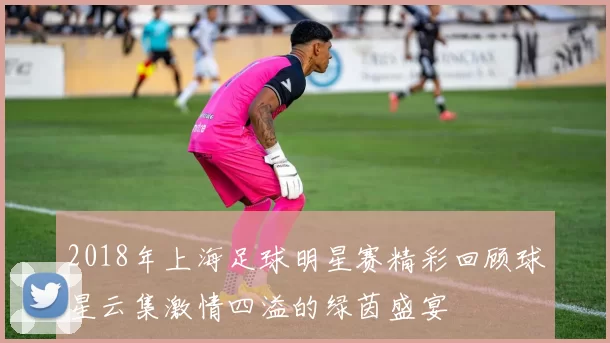 2018年上海足球明星赛精彩回顾球星云集激情四溢的绿茵盛宴