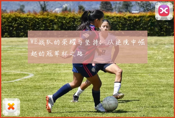 WE战队的荣耀与坚持：从逆境中崛起的冠军杯之路