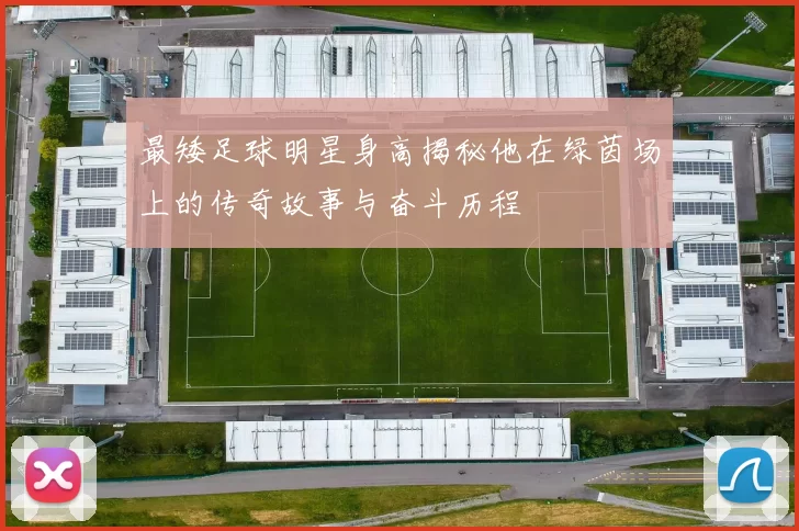 最矮足球明星身高揭秘他在绿茵场上的传奇故事与奋斗历程