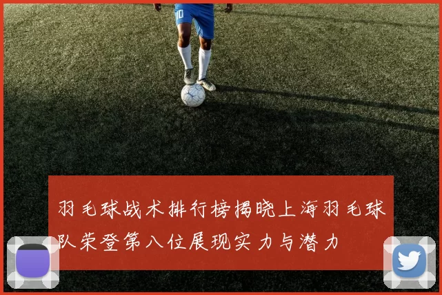 羽毛球战术排行榜揭晓上海羽毛球队荣登第八位展现实力与潜力