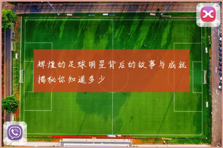 辉煌的足球明星背后的故事与成就揭秘你知道多少