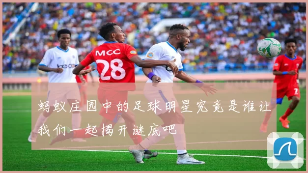 蚂蚁庄园中的足球明星究竟是谁让我们一起揭开谜底吧