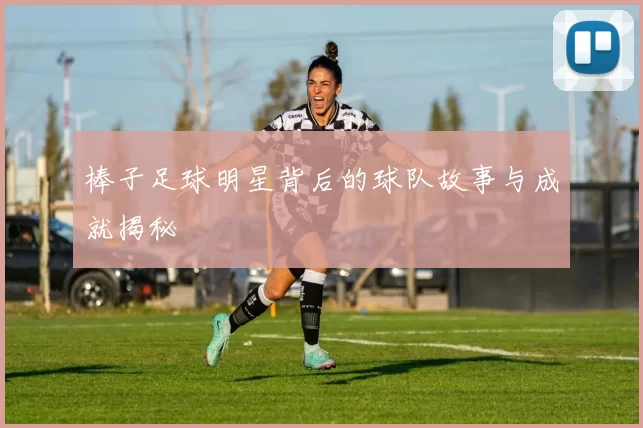棒子足球明星背后的球队故事与成就揭秘
