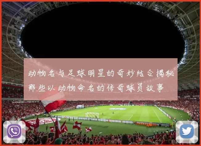 动物名与足球明星的奇妙结合揭秘那些以动物命名的传奇球员故事