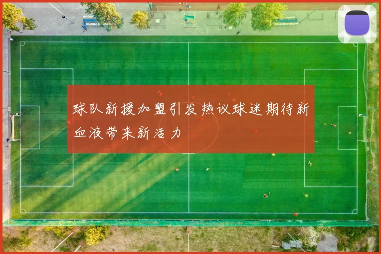 球队新援加盟引发热议球迷期待新血液带来新活力