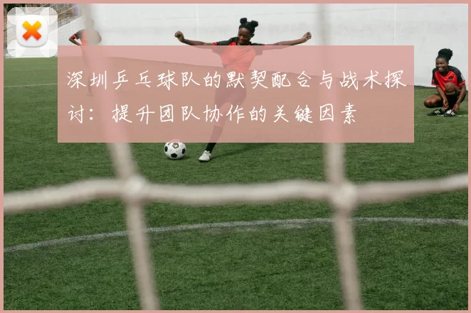 深圳乒乓球队的默契配合与战术探讨：提升团队协作的关键因素