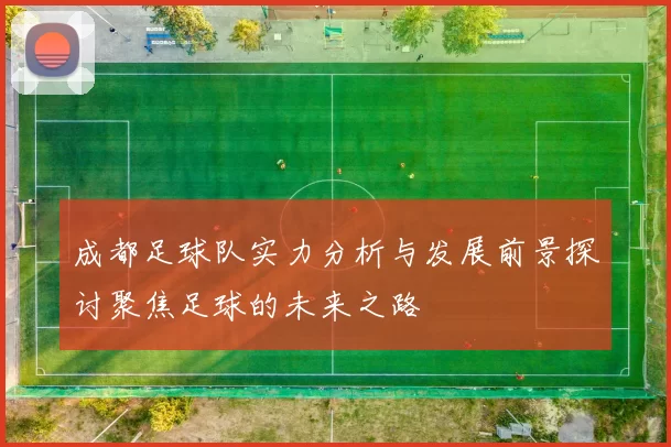 成都足球队实力分析与发展前景探讨聚焦足球的未来之路
